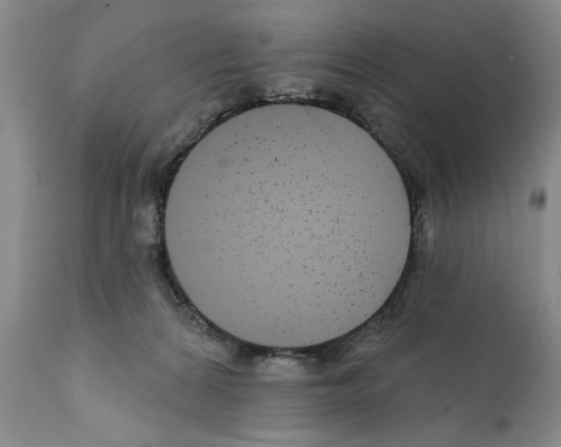 X0000112060224200909151033