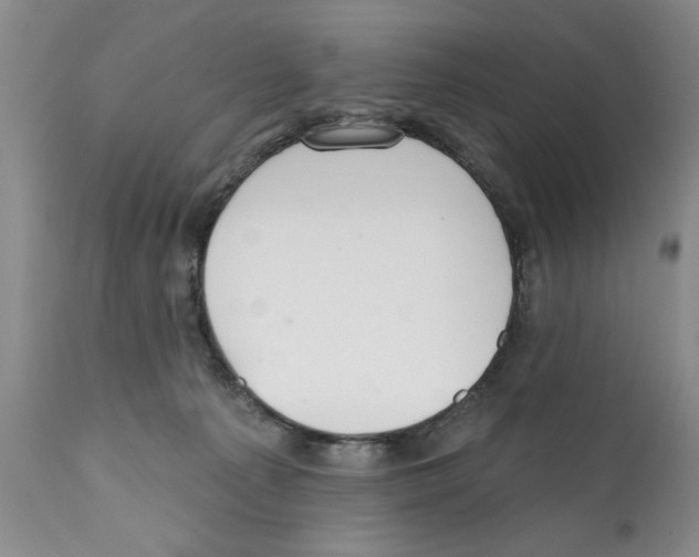 X0000112060225200909151033