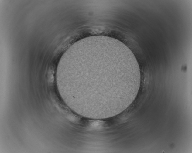 X0000112060226200909151033