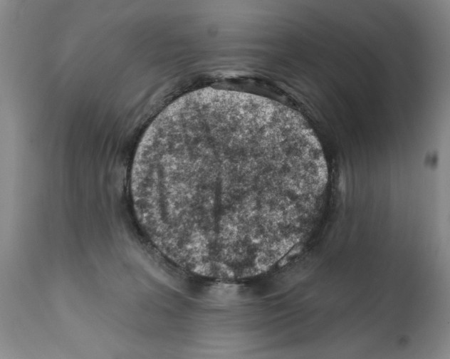 X0000112060227200909151033