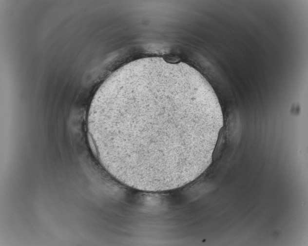 X0000112060229200909151033
