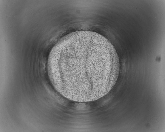 X0000112060230200909151033