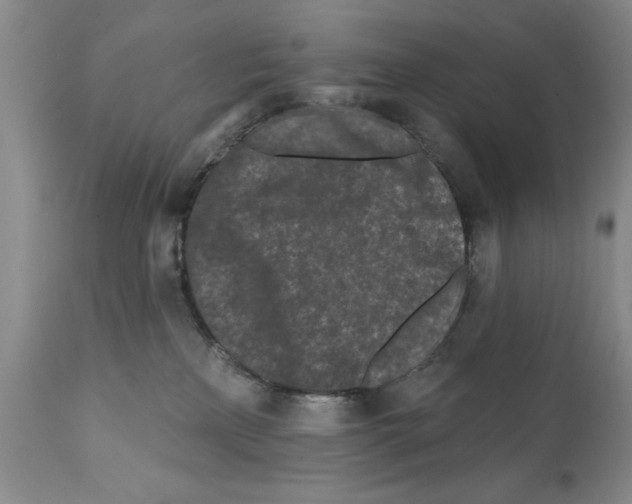 X0000112060233200909151033
