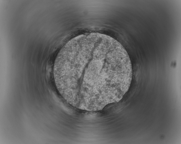 X0000112060235200909151033