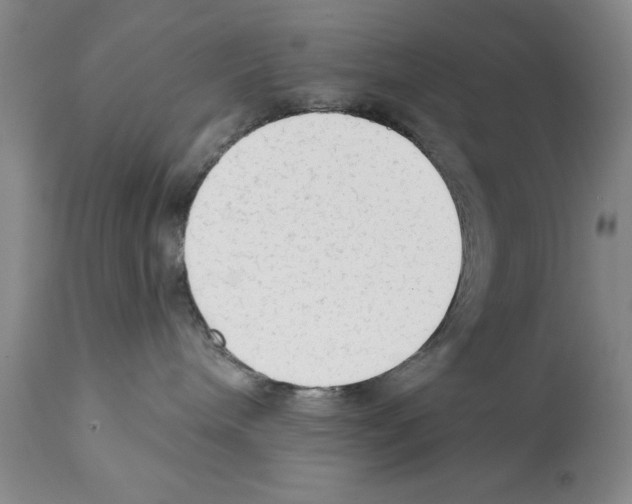 X0000112060240200909151033