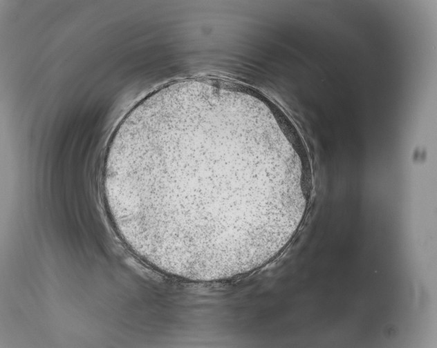 X0000112060241200909151032