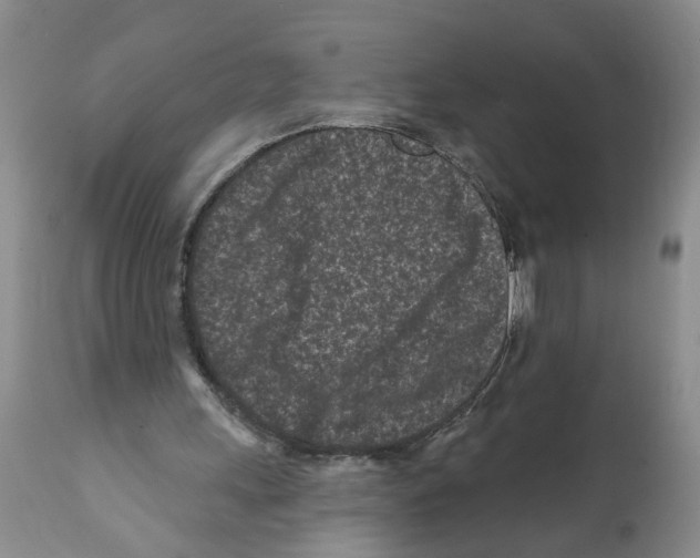 X0000112060243200909151032
