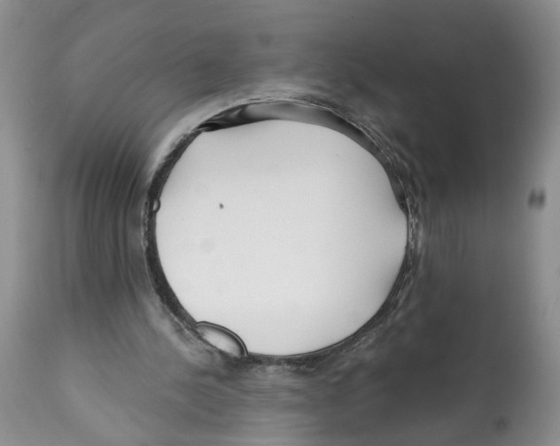 X0000112060244200909151032