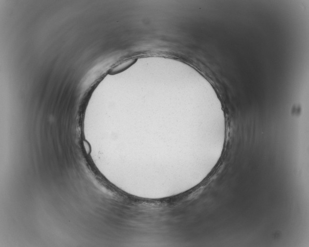X0000112060245200909151032