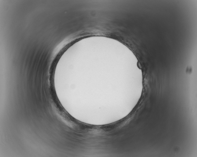 X0000112060246200909151032