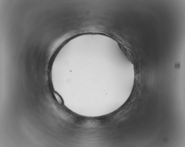 X0000112060248200909151032