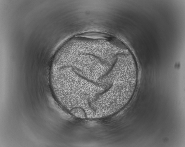 X0000112060249200909151032