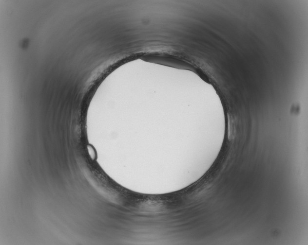 X0000112060252200909151032