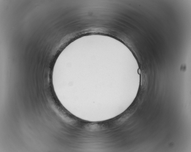 X0000112060253200909151032