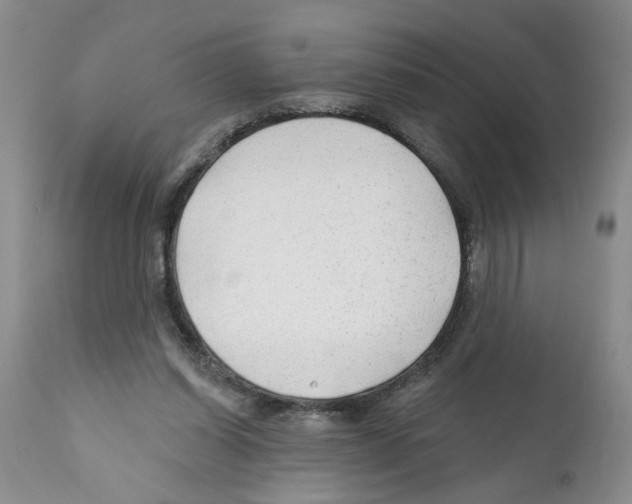 X0000112060254200909151032