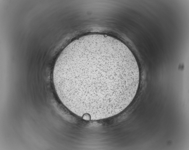 X0000112060257200909151032