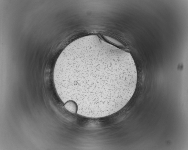X0000112060263200909151032