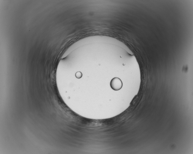 X0000112060276200909151032