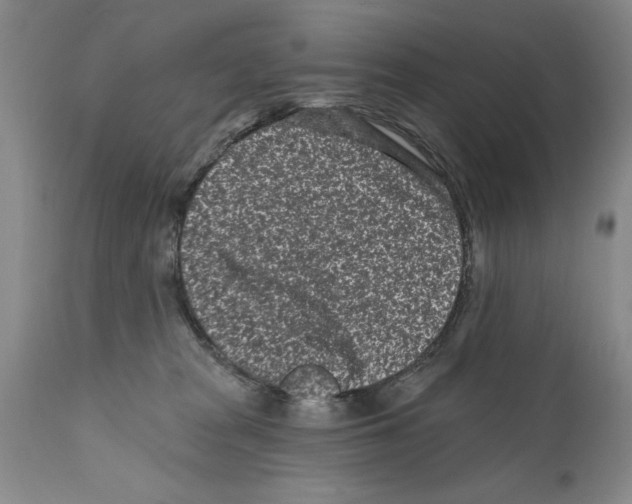 X0000112060277200909151032
