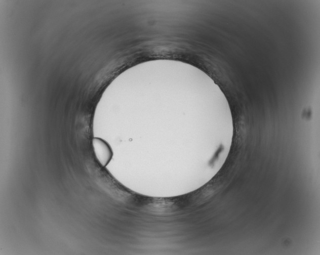 X0000112060278200909151032