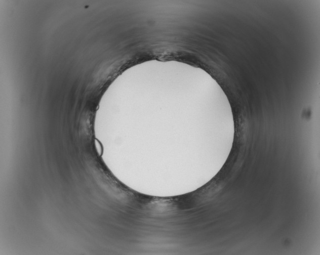 X0000112060280200909151032