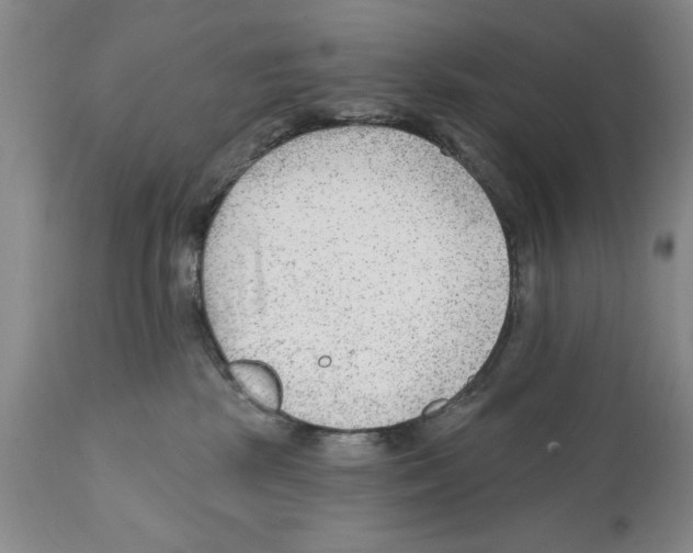 X0000112060281200909151032