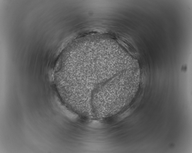 X0000112060285200909151032