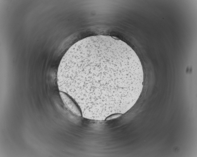 X0000112060288200909151033