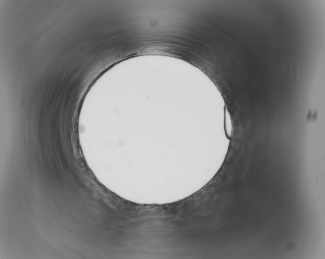 X0000112060289200909151032