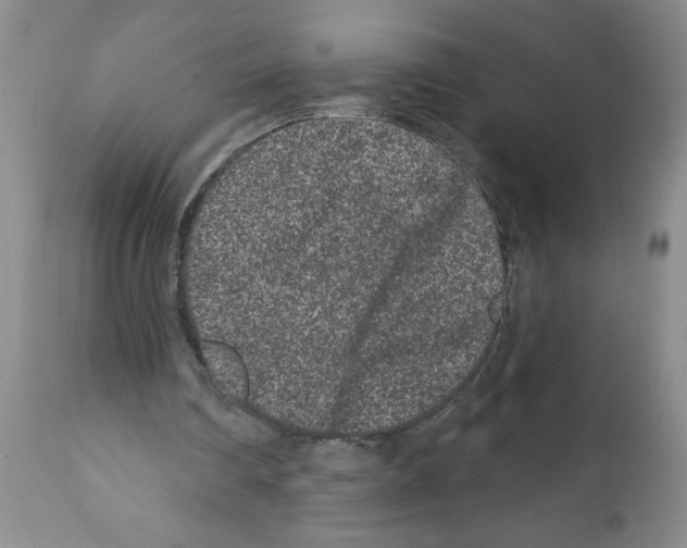X0000112060290200909151032