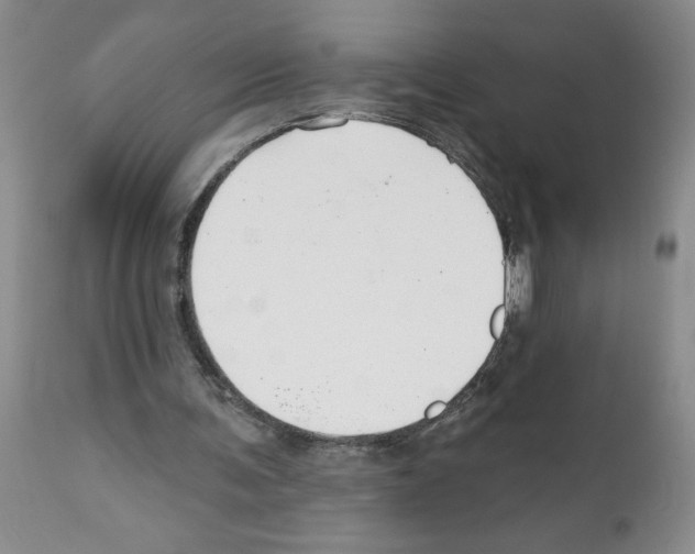 X0000112060291200909151032