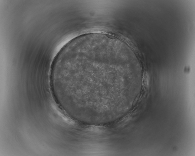 X0000112060292200909151032