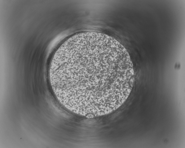 X0000112060294200909151032