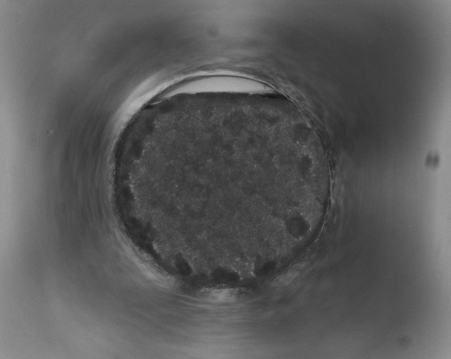 X0000112060295200909151032