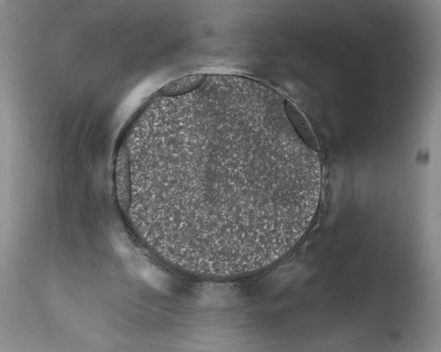 X0000112060296200909151032