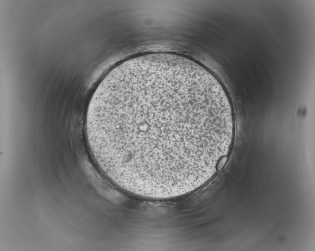 X0000112060297200909151032