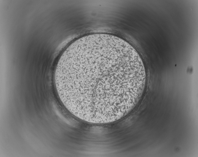 X0000112060298200909151032