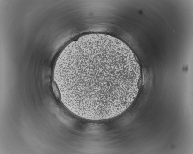 X0000112060300200909151032
