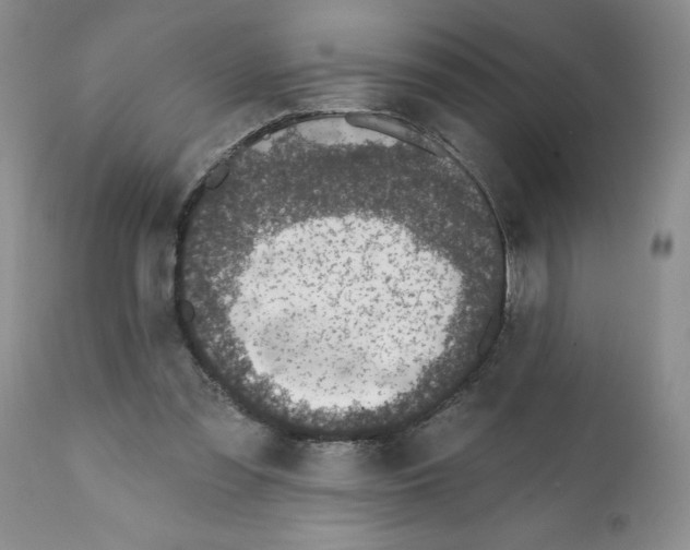 X0000112060301200909151032