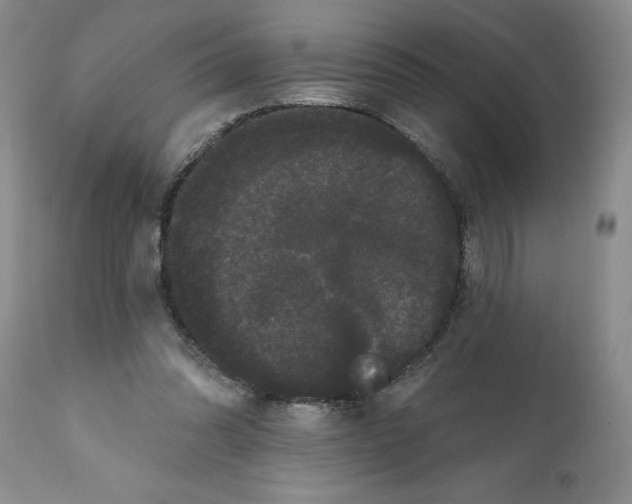 X0000112060302200909151032