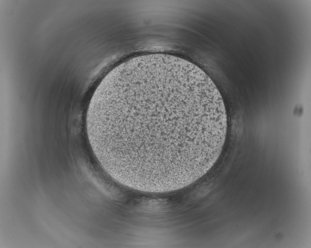 X0000112060304200909151032