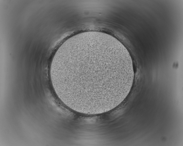 X0000112060306200909151032