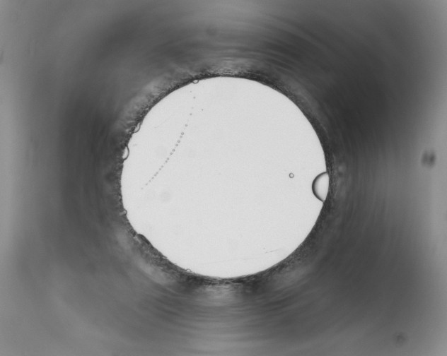 X0000112060307200909151032