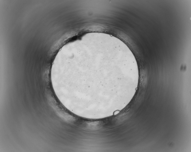 X0000112060309200909151032