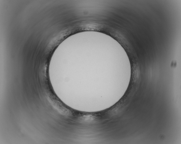 X0000112060310200909151032