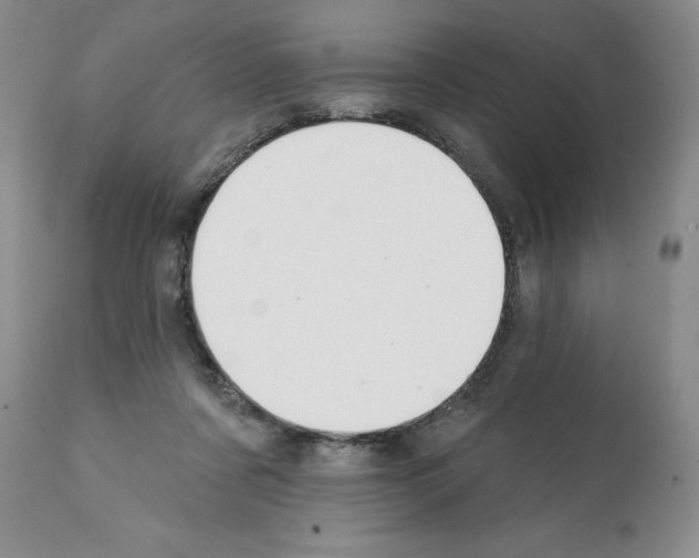 X0000112060311200909151032