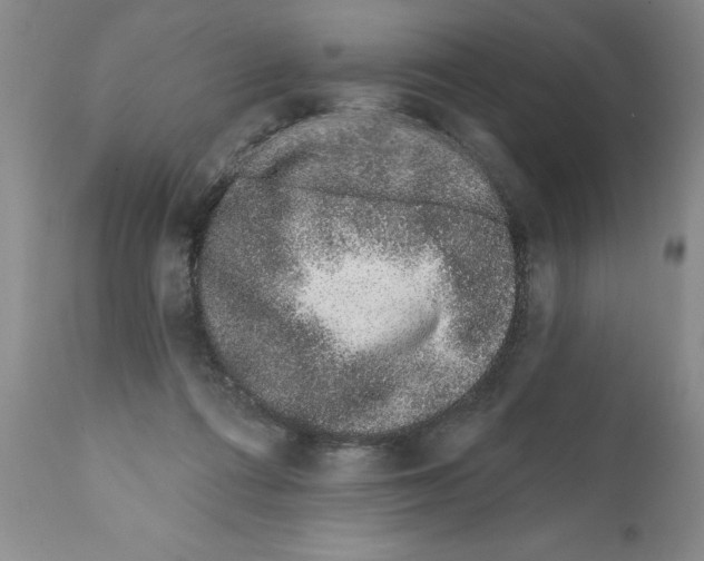 X0000112060312200909151032