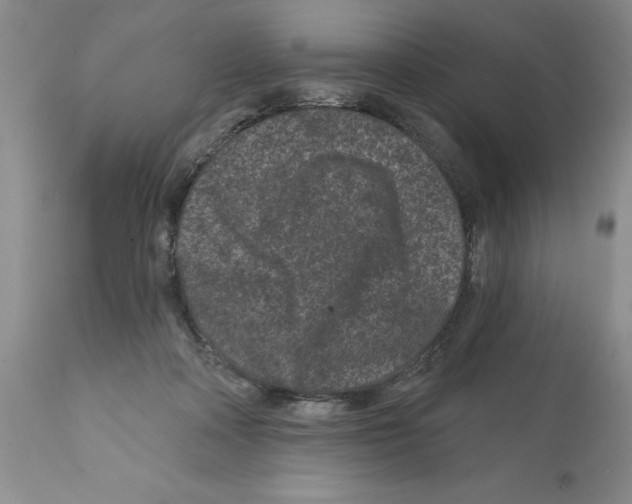 X0000112060314200909151032