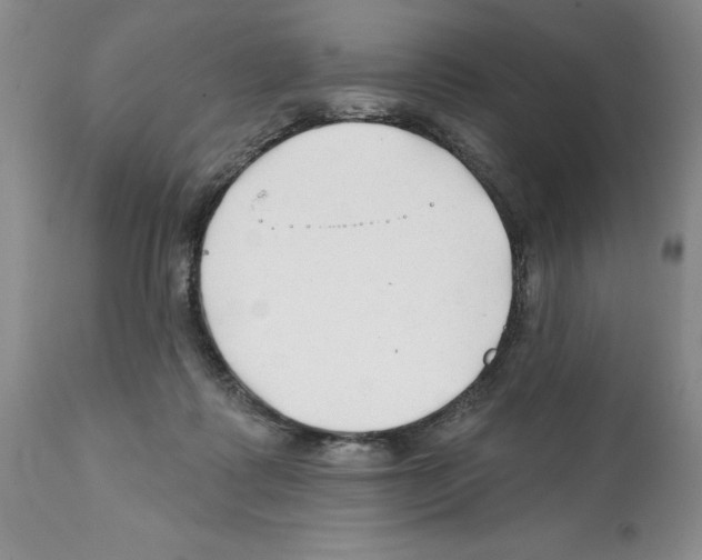 X0000112060315200909151032
