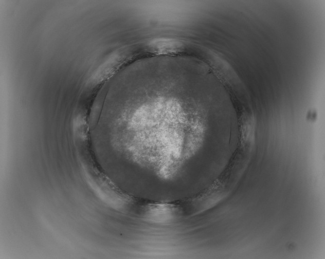 X0000112060316200909151031